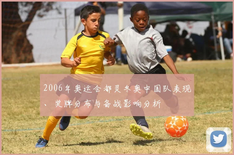 2006年奥运会都灵冬奥中国队表现、奖牌分布与备战影响分析