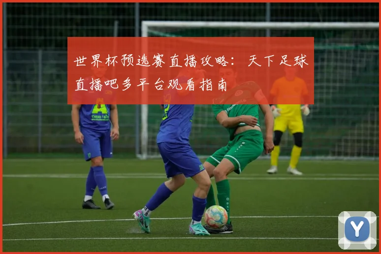 世界杯预选赛直播攻略：天下足球直播吧多平台观看指南