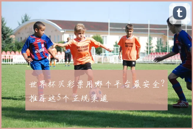 世界杯买彩票用哪个平台最安全？推荐这5个正规渠道