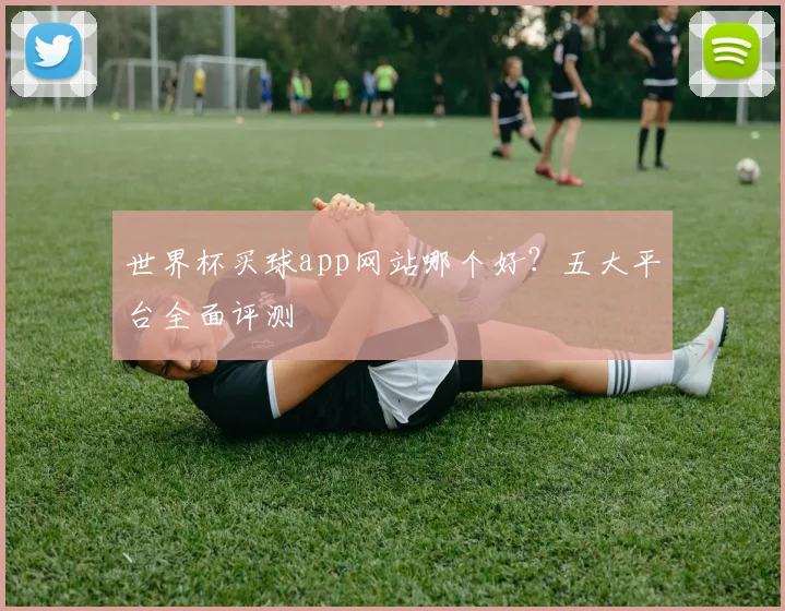 世界杯买球app网站哪个好？五大平台全面评测