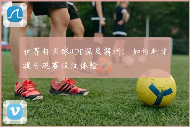 世界杯买球app深度解析：如何科学提升观赛投注体验