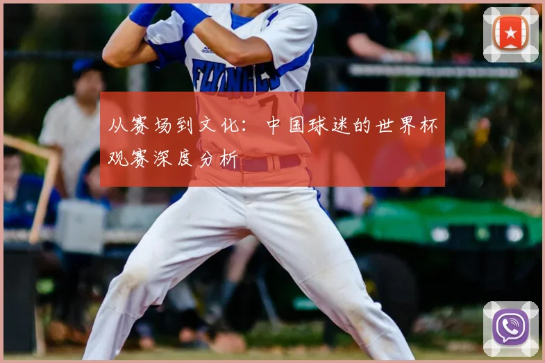 从赛场到文化:中国球迷的世界杯观赛深度分析