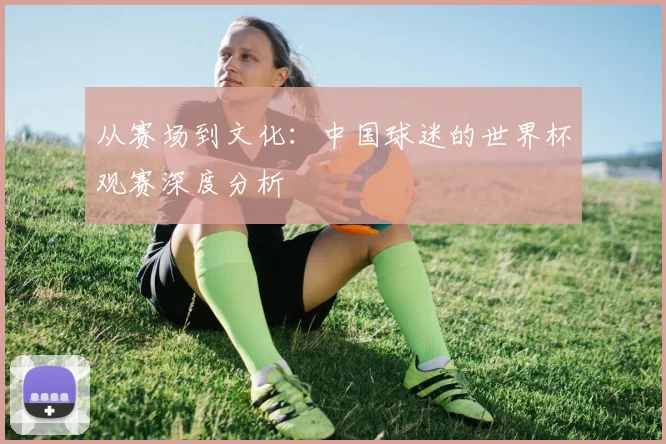 从赛场到文化：中国球迷的世界杯观赛深度分析
