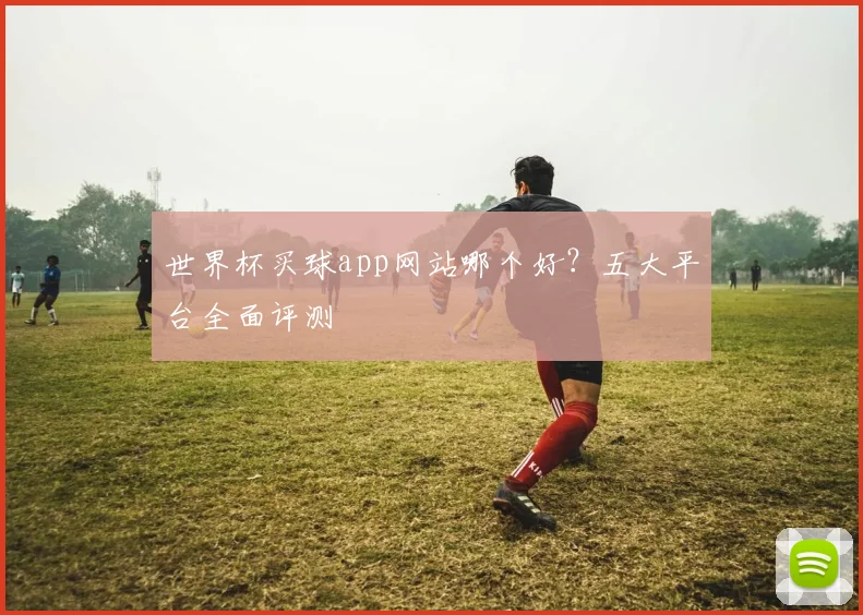 世界杯买球app网站哪个好？五大平台全面评测