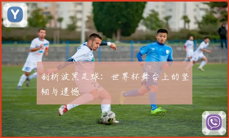 剖析波黑足球：世界杯舞台上的坚韧与遗憾