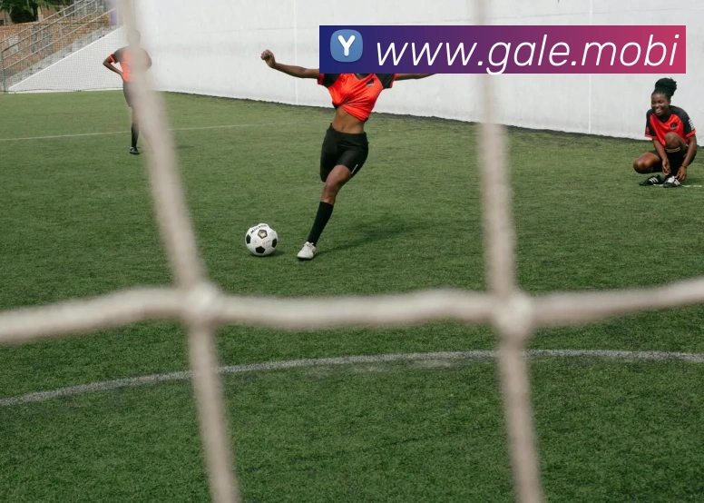 bsports官网登录APP 体育赛事宣传图